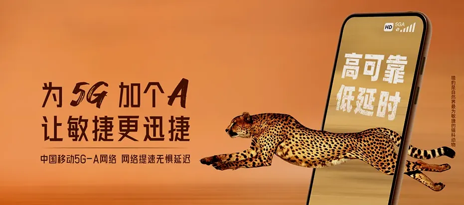 大通区大通区孔店乡 移动宽带